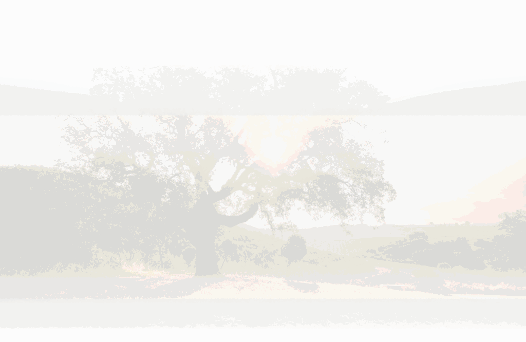 camping-chenes-vert-camping-nature